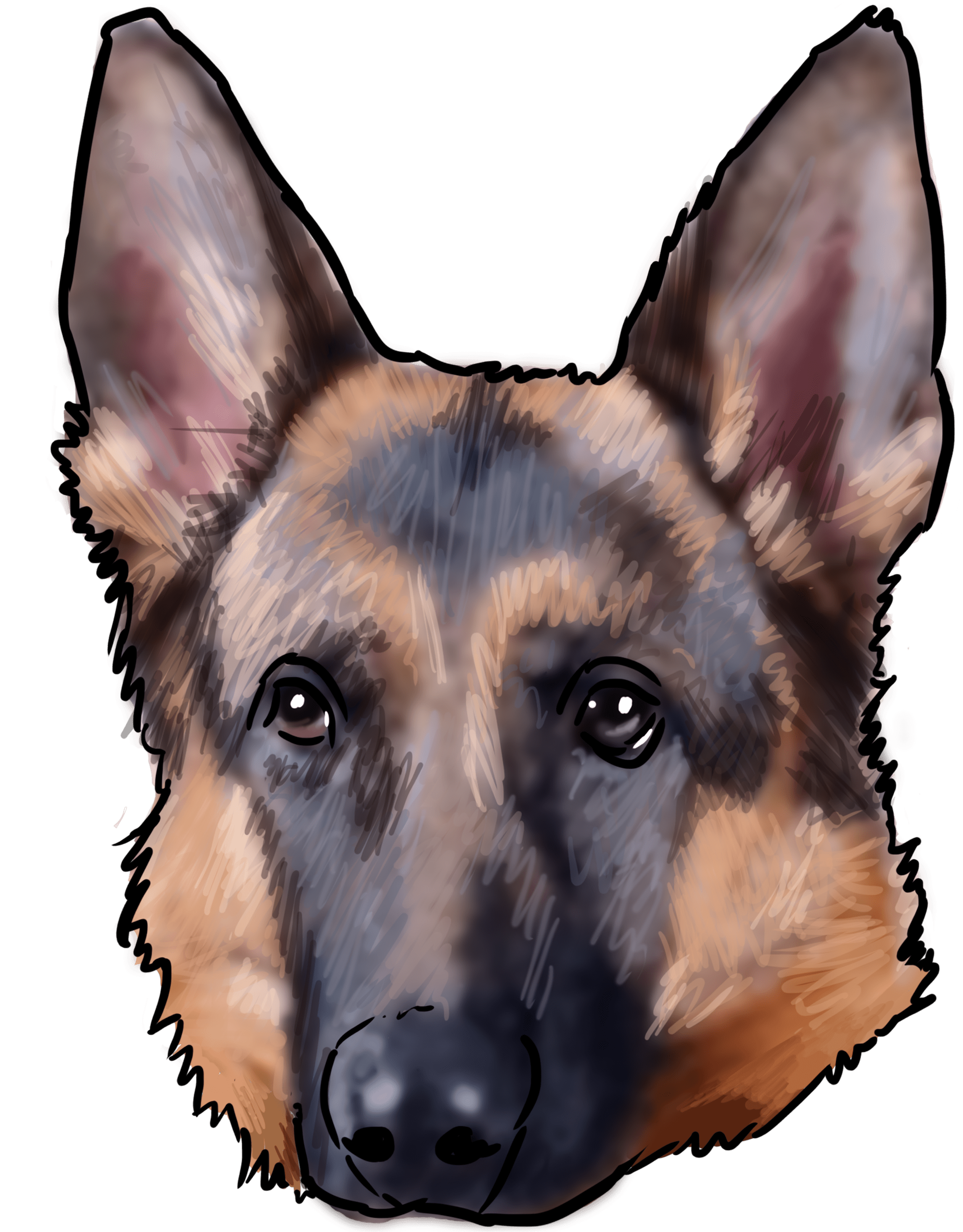 German Shepherd PNG Isolated Picture