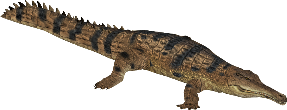 Gharials PNG Clipart