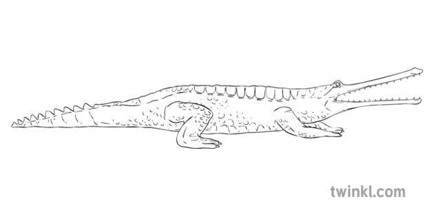 Gharials PNG Isolated File