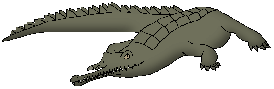 Gharials PNG Isolated Pic