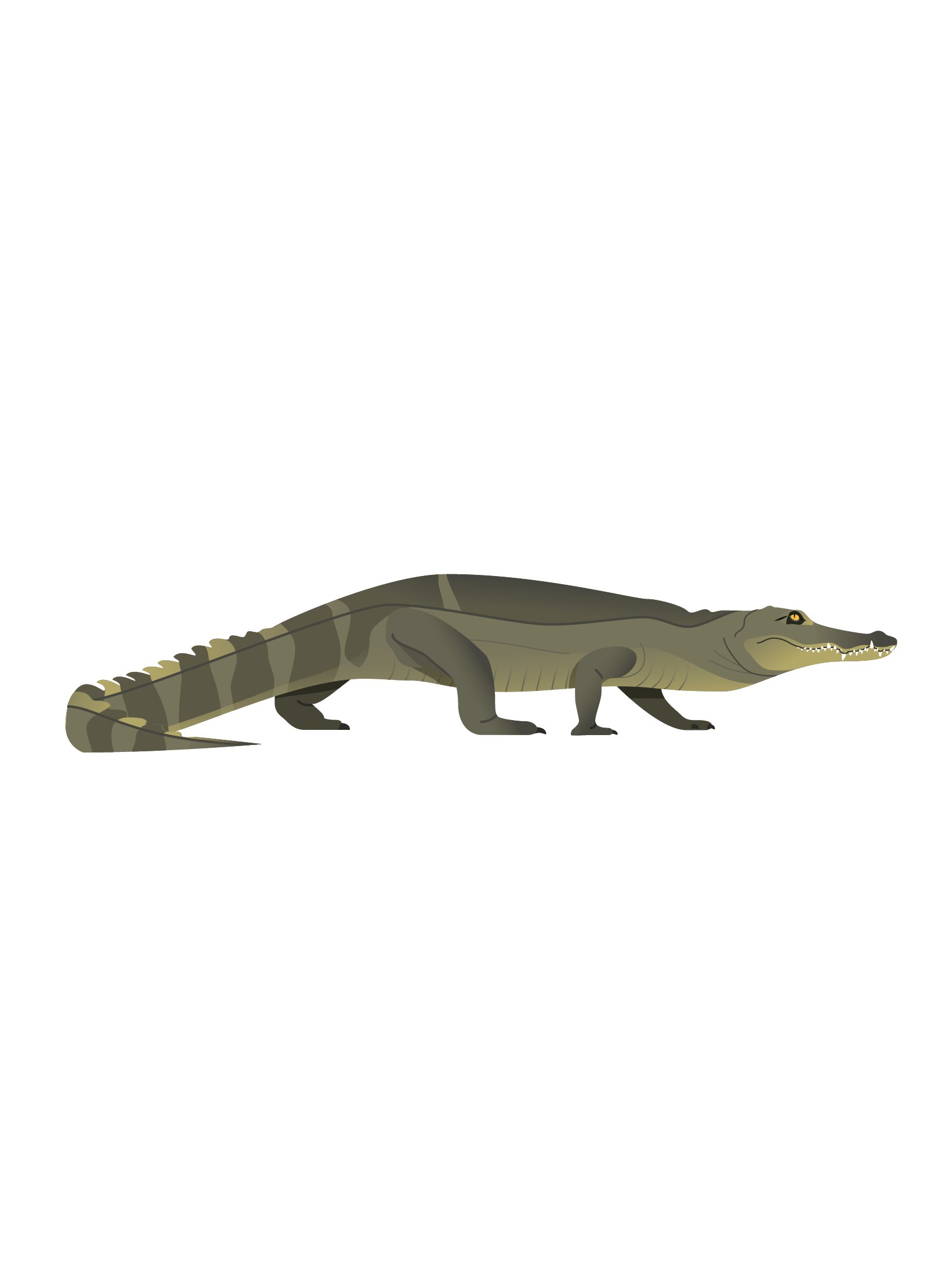 Gharials PNG Photo