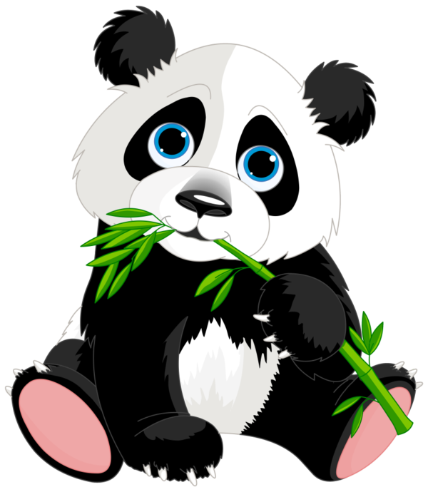 Giant Panda PNG Isolated File