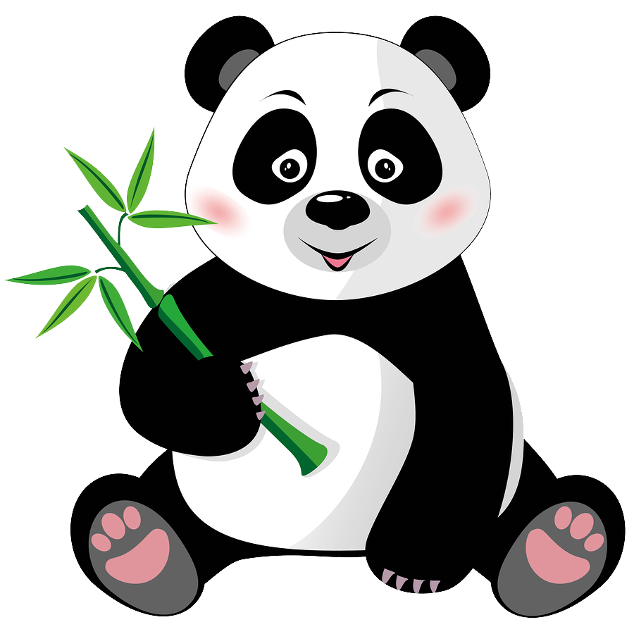 Giant Panda PNG Isolated HD