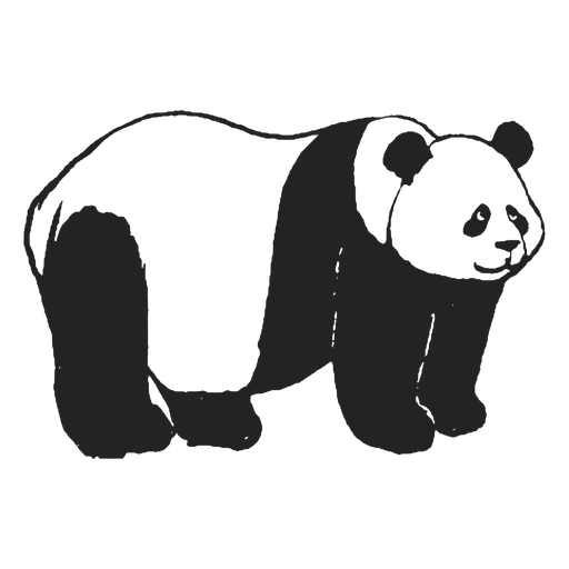 Giant Panda PNG Photo