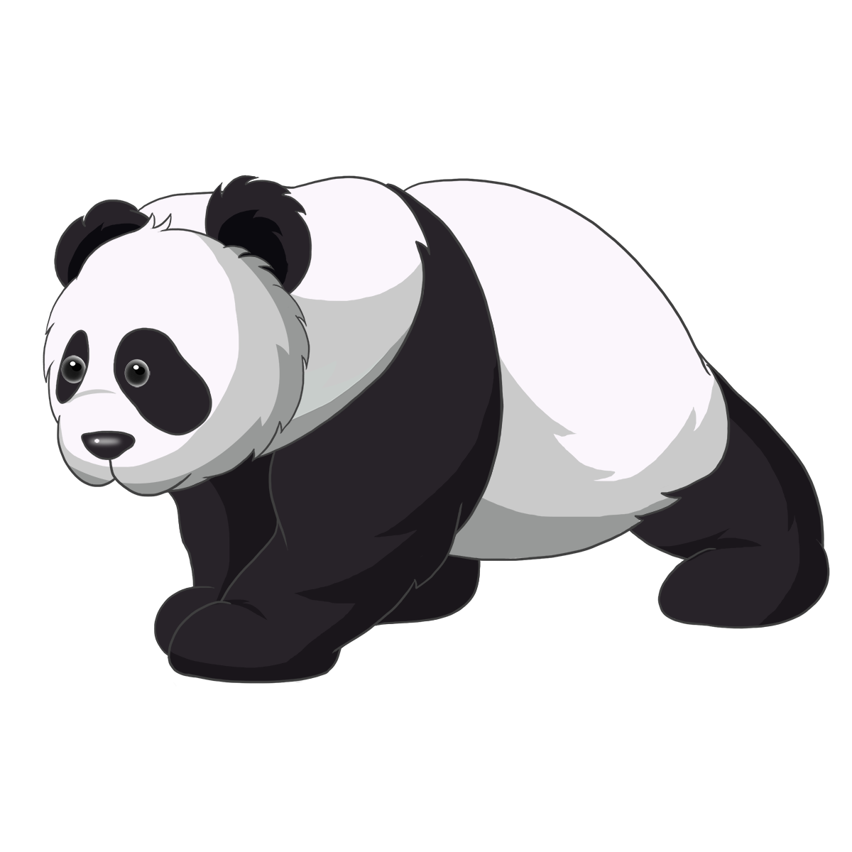 Giant Pandas PNG Clipart