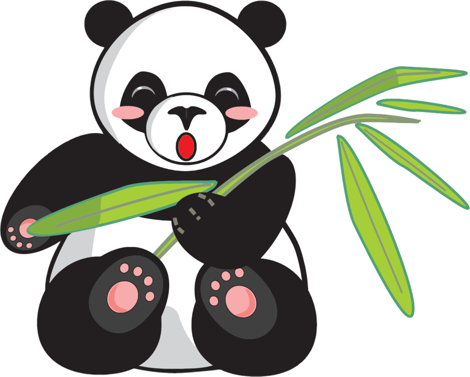Giant Pandas PNG HD