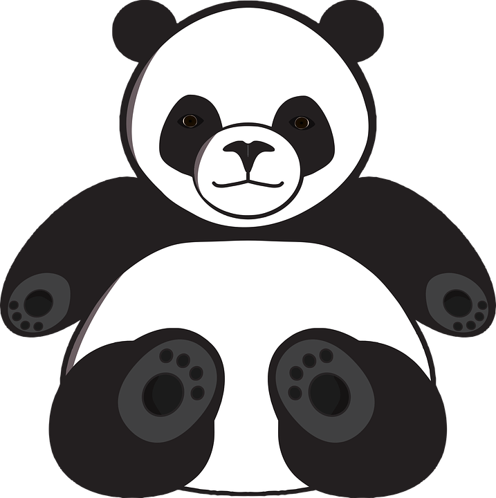 Giant Pandas PNG Image