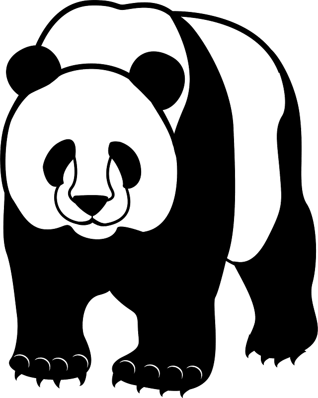 Giant Pandas PNG Isolated Pic