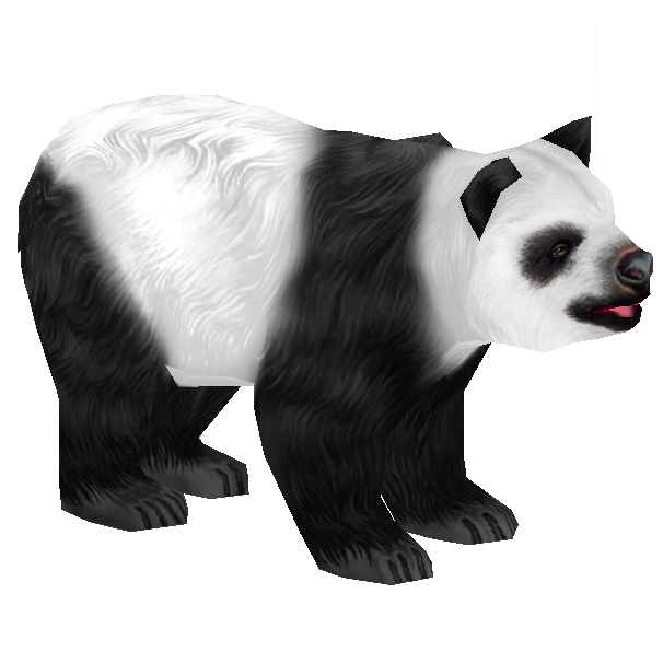 Giant Pandas PNG Transparent
