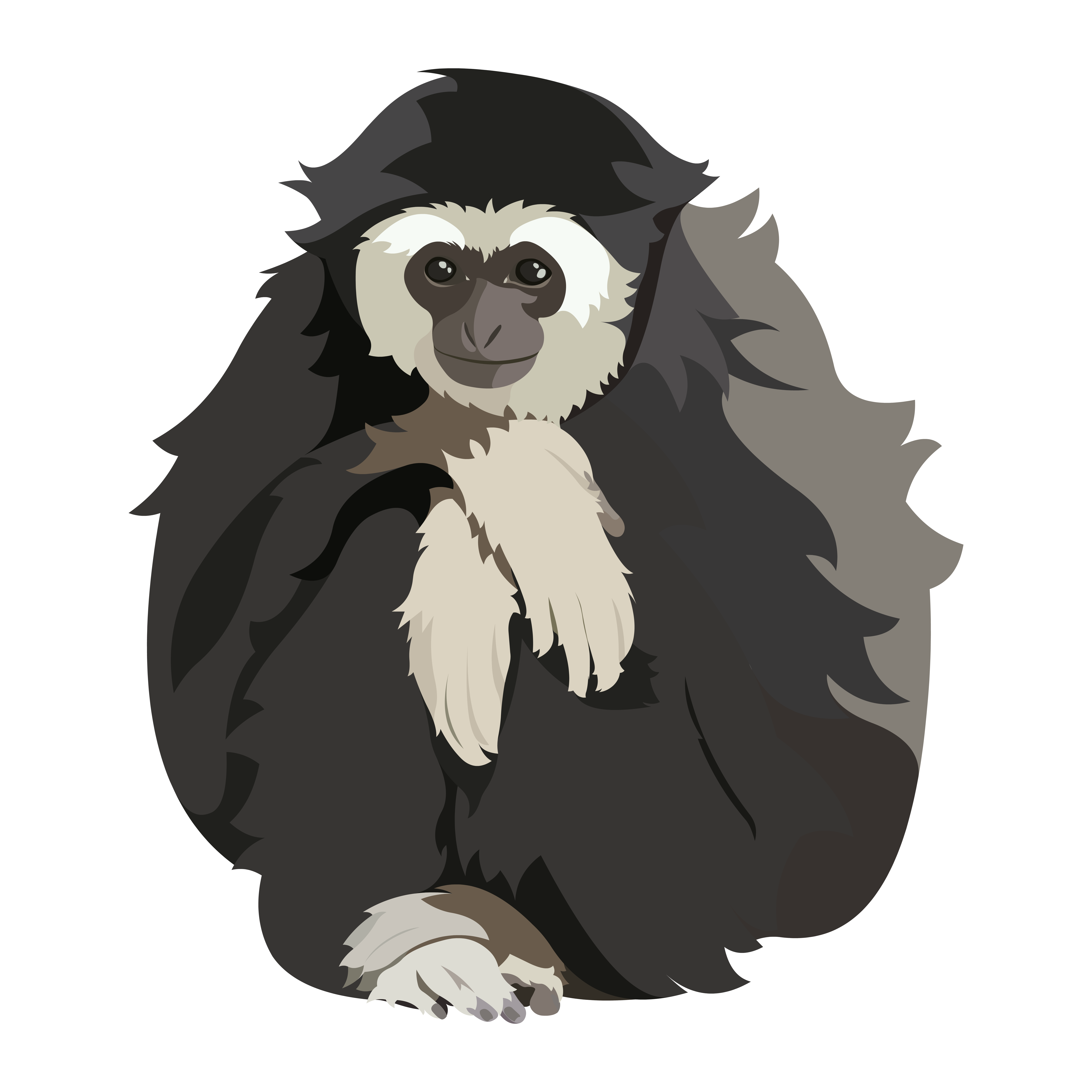 Gibbon Download PNG Image