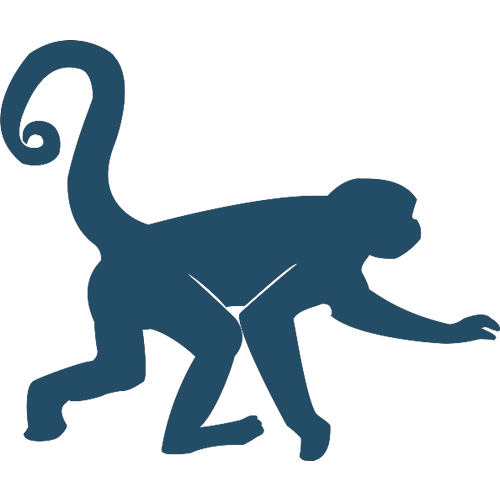 Gibbon PNG HD
