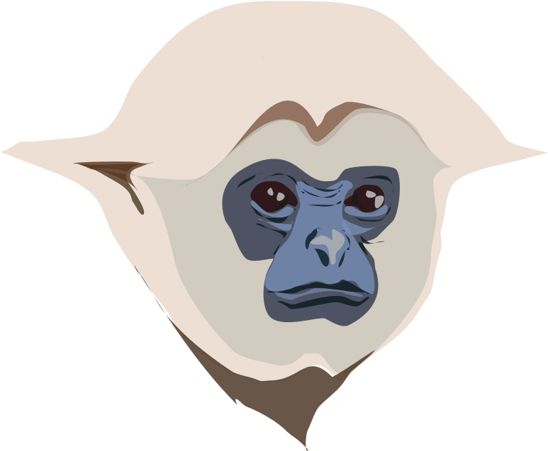 Gibbon PNG Isolated File