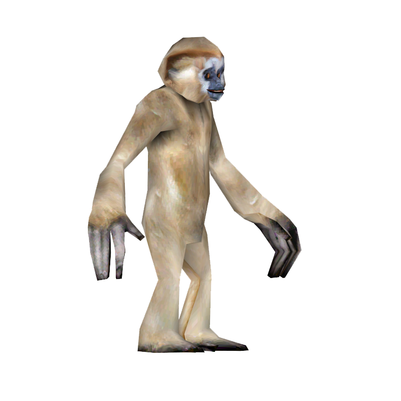 Gibbon PNG Isolated Pic