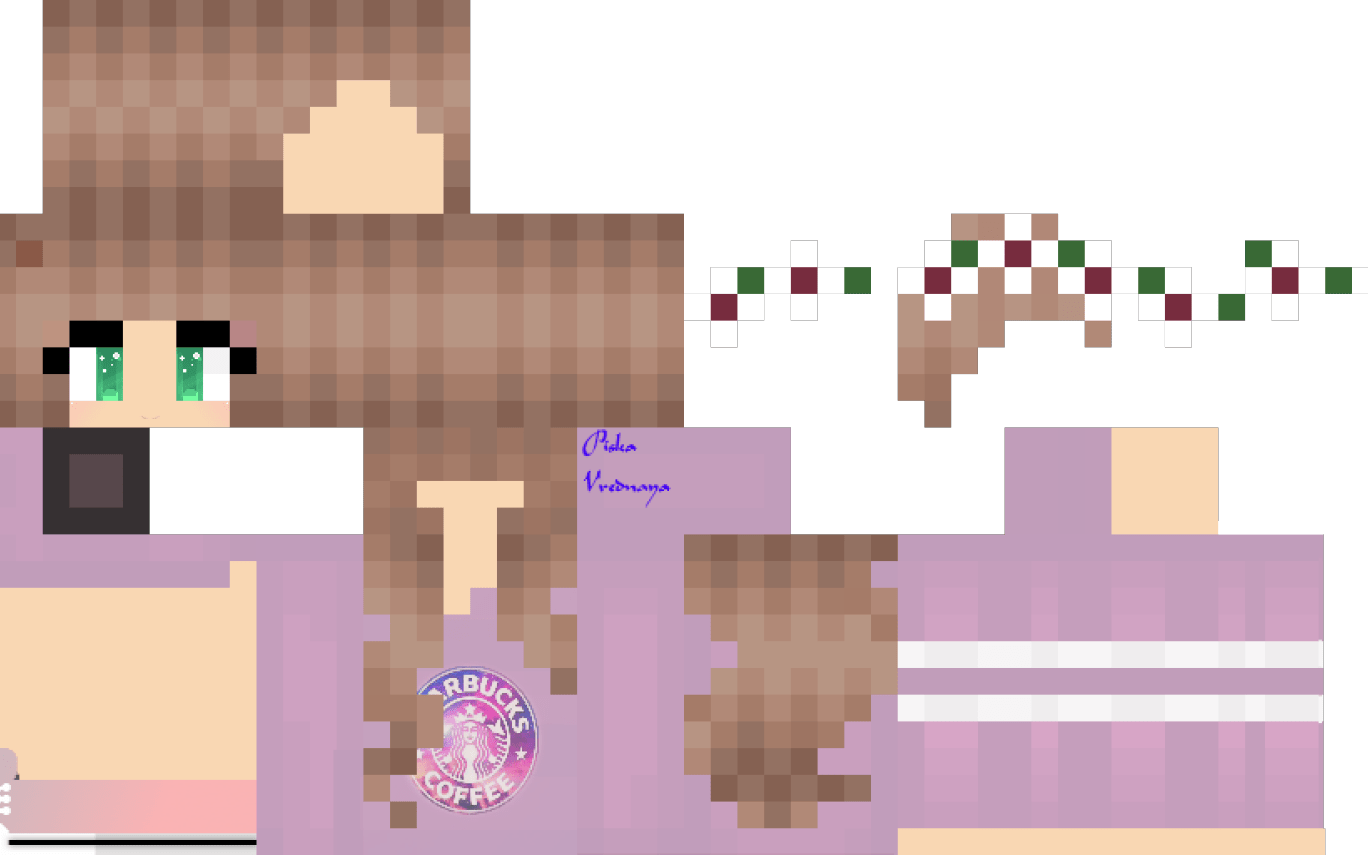 Girl Minecraft Skins PNG HD Isolated
