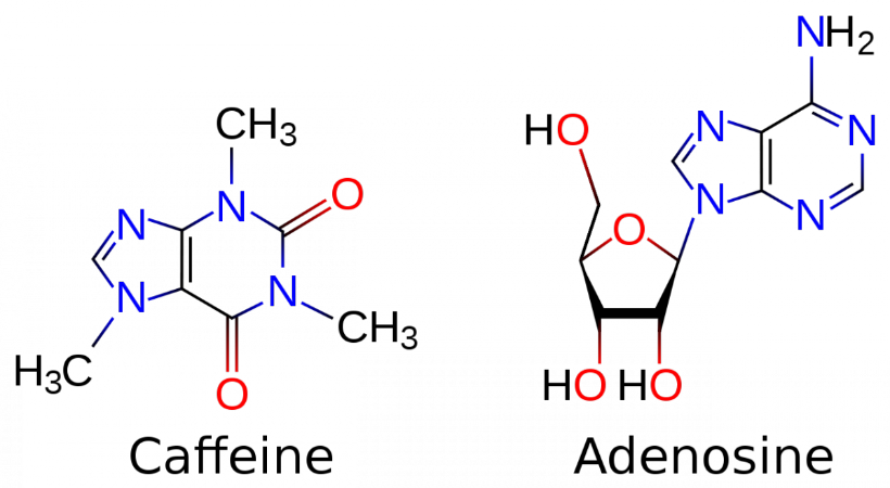 Good Molecule PNG