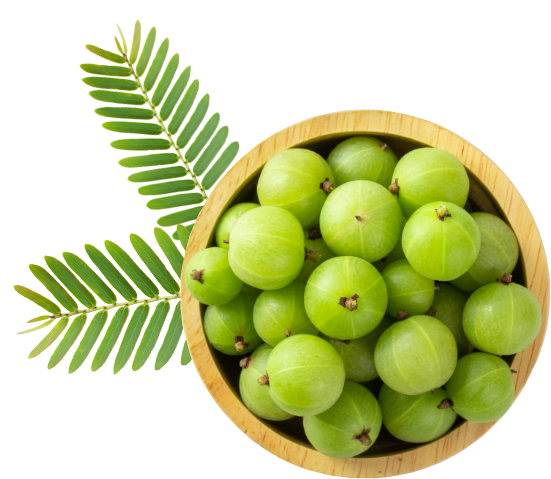 Gooseberry PNG File