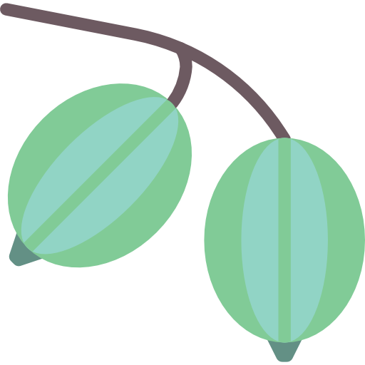 Gooseberry PNG Isolated HD