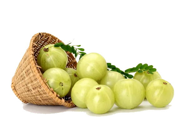 Gooseberry PNG