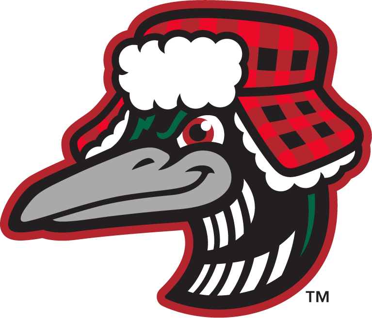 Great Lakes Loons PNG Pic