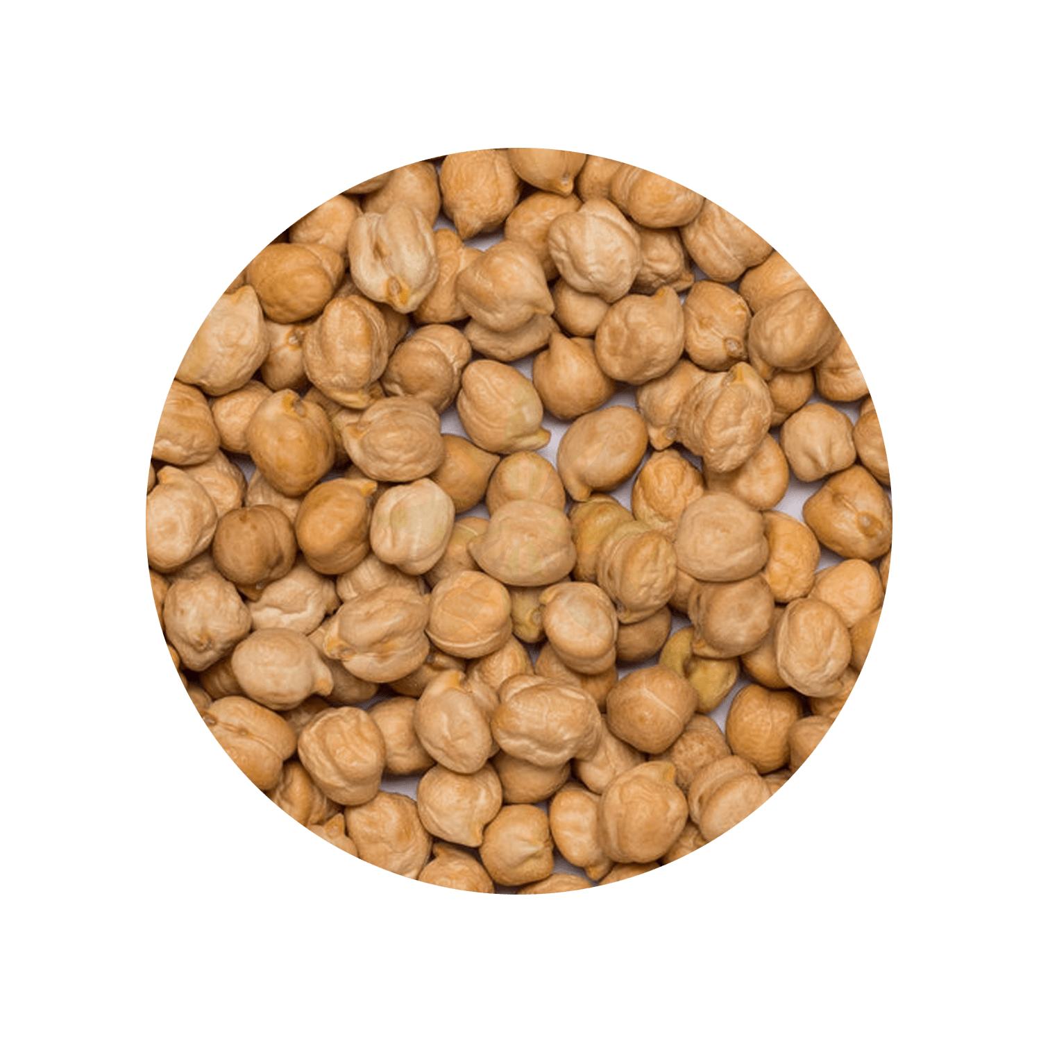 Great Northern Beans PNG File