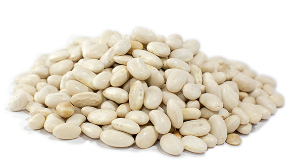 Great Northern Beans PNG Isolated Pic