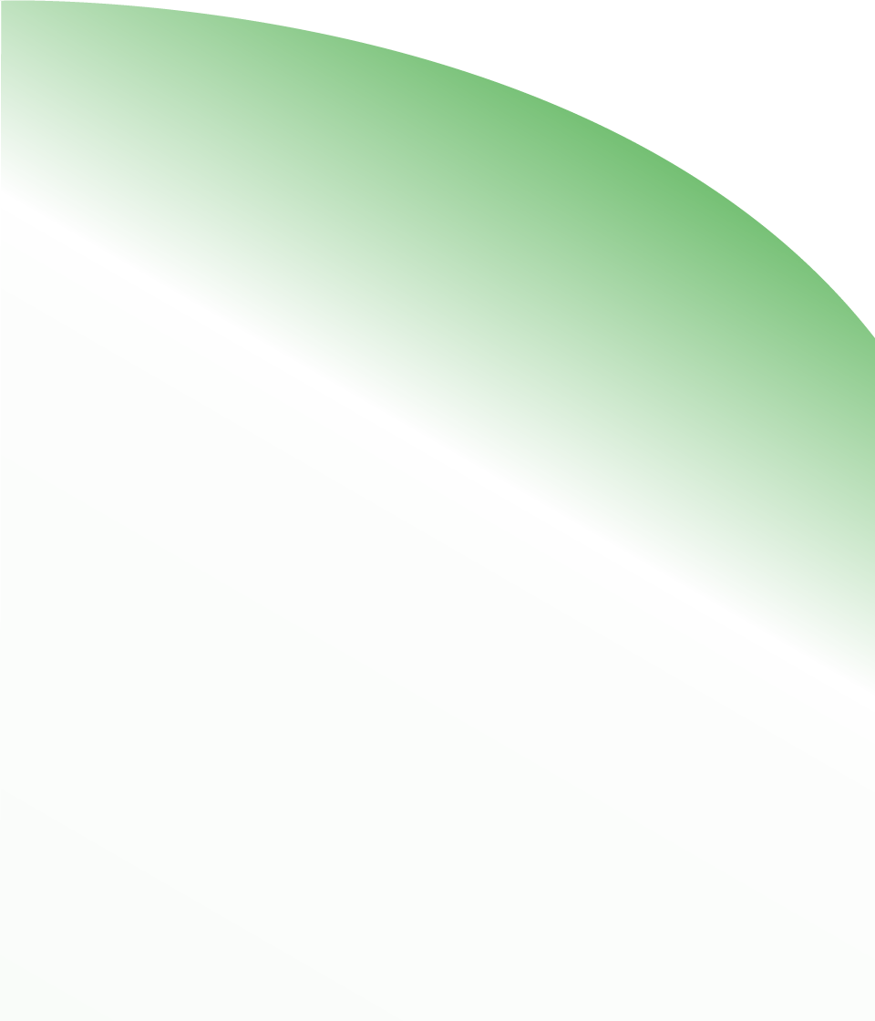 Green Background PNG Isolated Pic