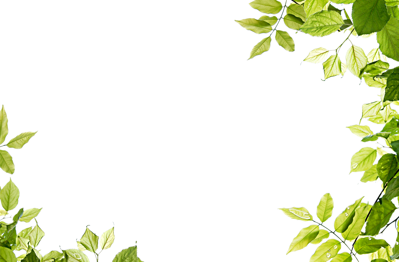 Green Background PNG