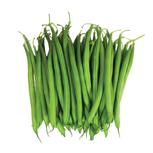 Green bean PNG Isolated Image