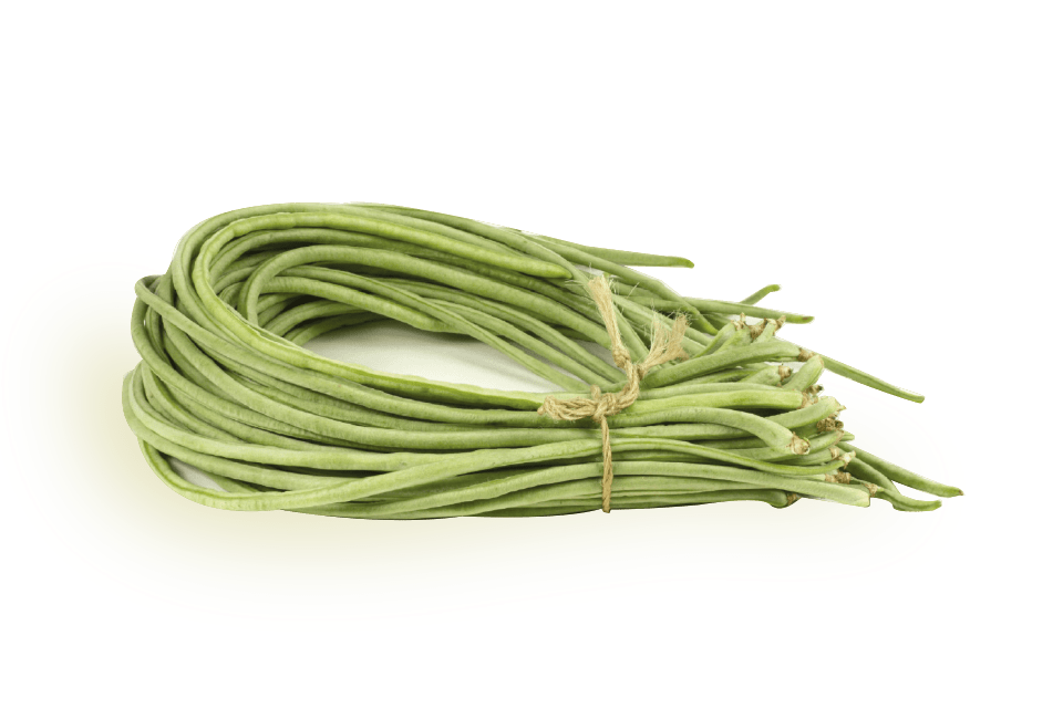 Green long beans PNG File