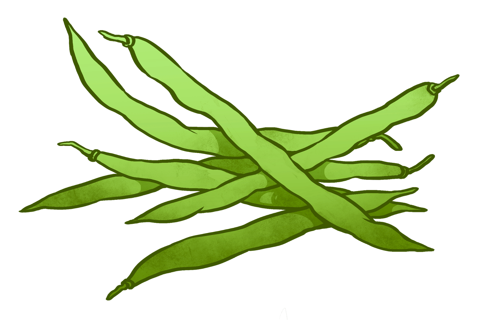 Green long beans PNG HD
