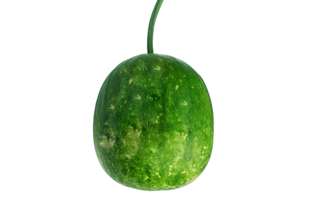 Green long beans PNG Isolated Photo
