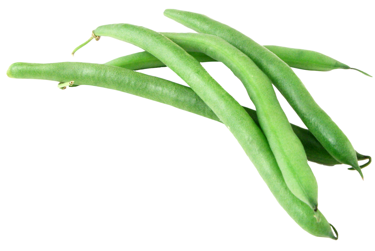 Green long beans PNG Isolated Photos