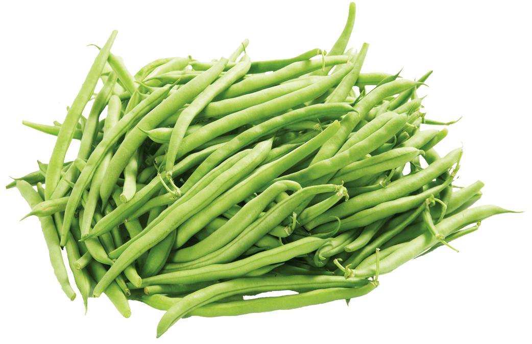 Green long beans PNG Photos