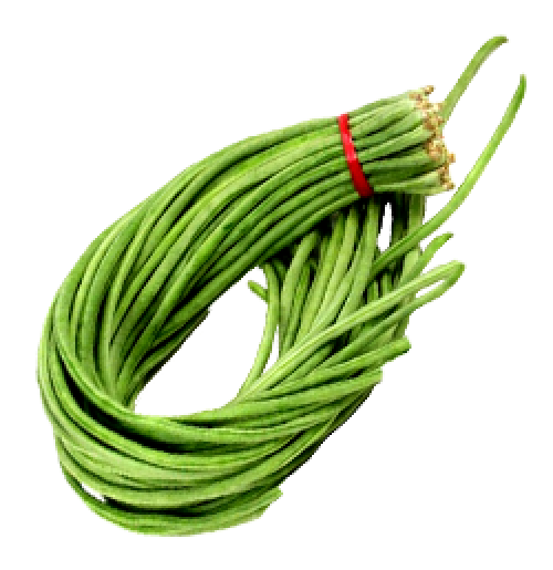 Green long beans PNG Picture
