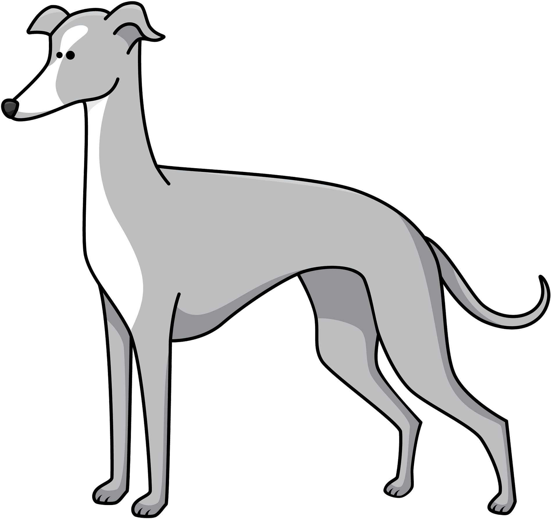 Greyhound PNG Free Download