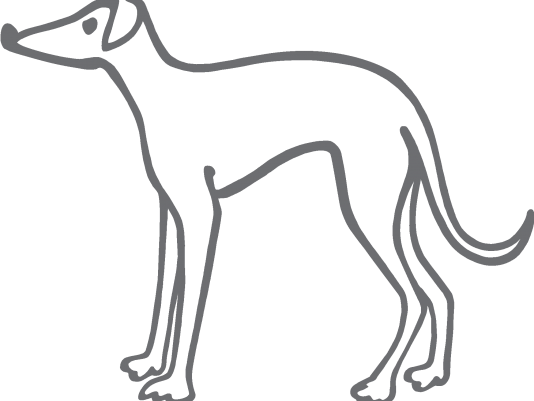 Greyhound PNG HD