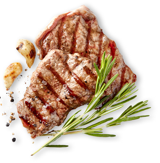 Grilled PNG Photo