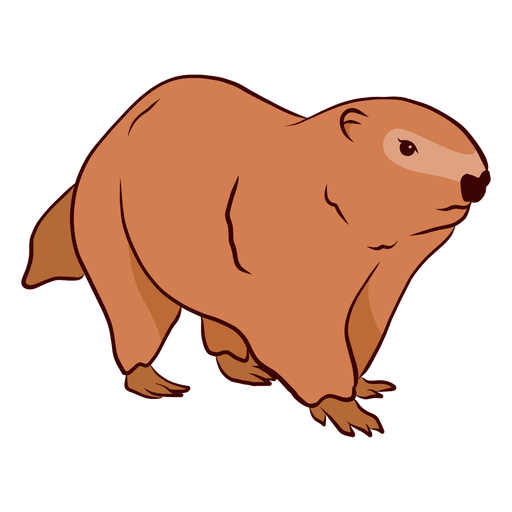 Groundhog PNG Clipart