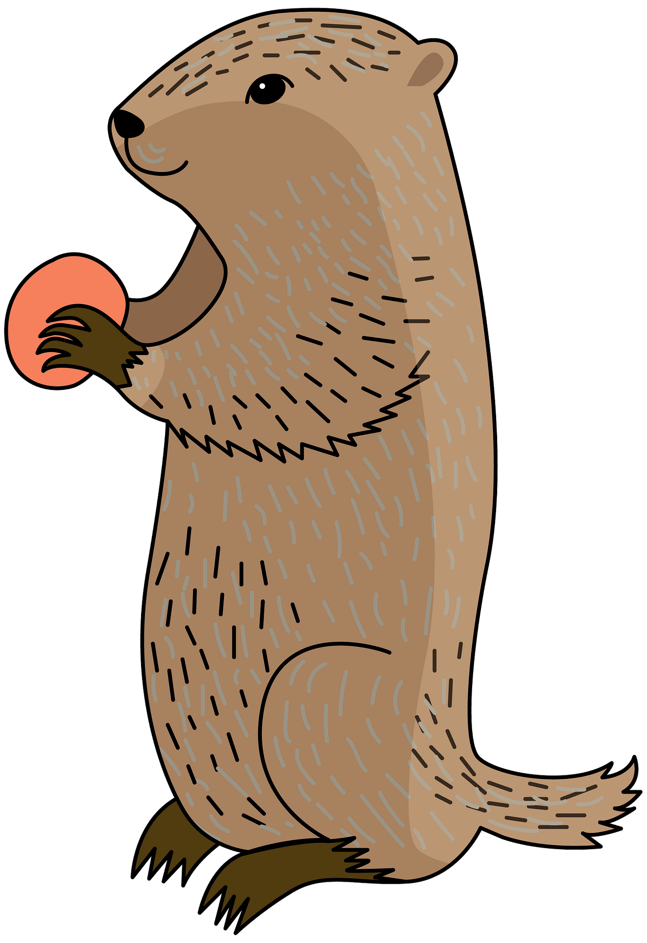 Groundhog PNG Isolated Photo | PNG Mart