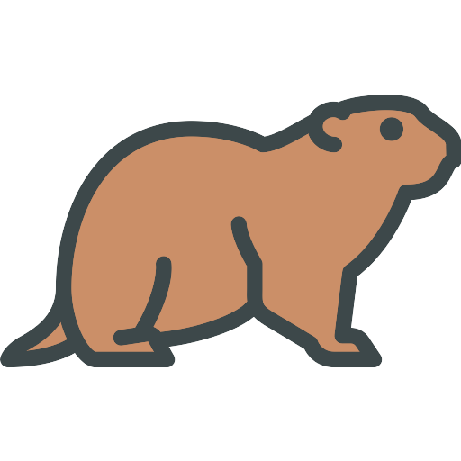 Groundhog PNG Picture