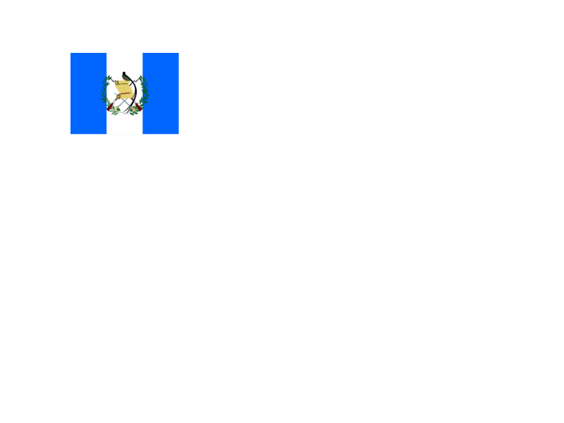 Guatemala Flag PNG Isolated Pic