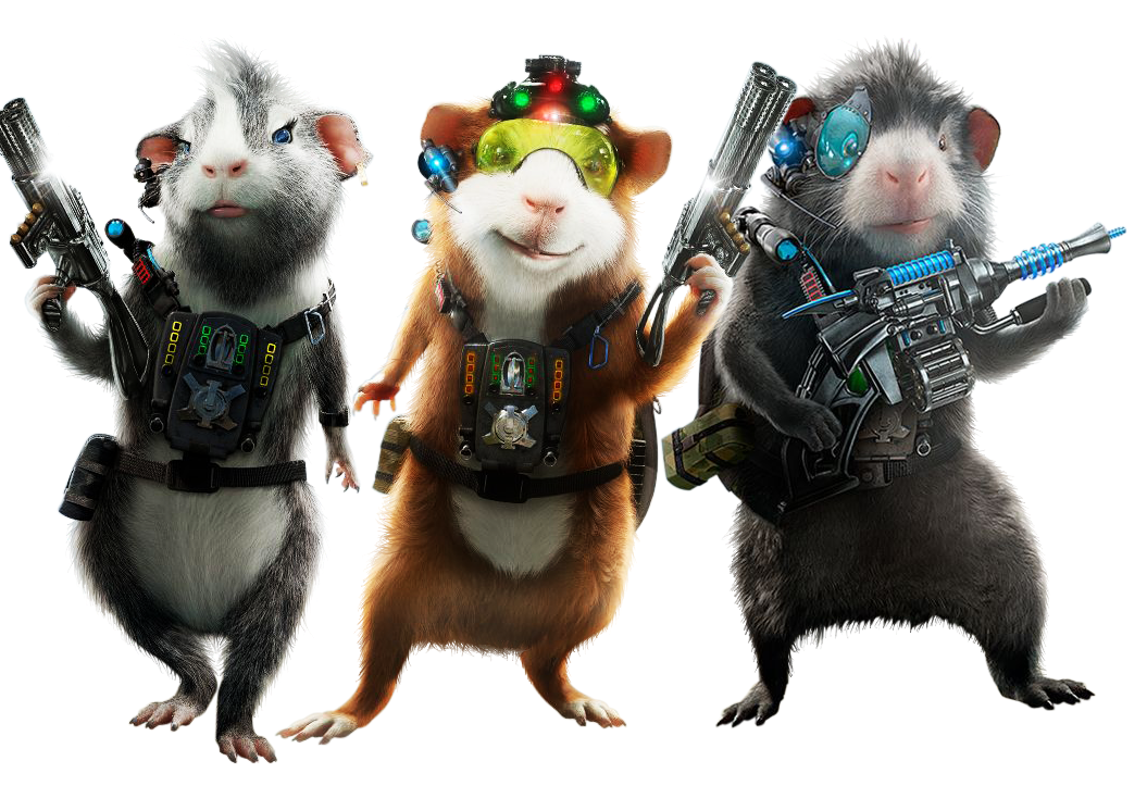 Guinea Pigs PNG Free Download