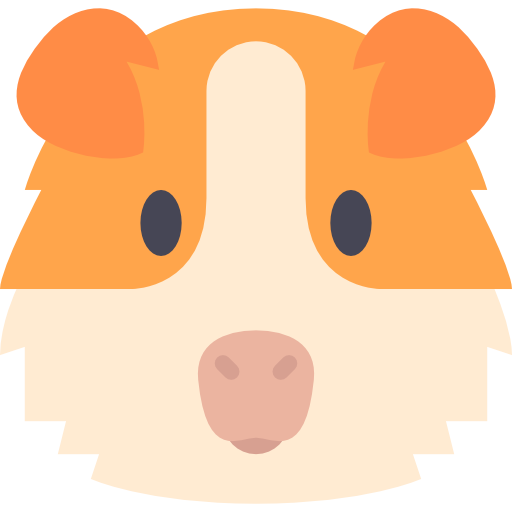 Guinea Pigs PNG HD Isolated