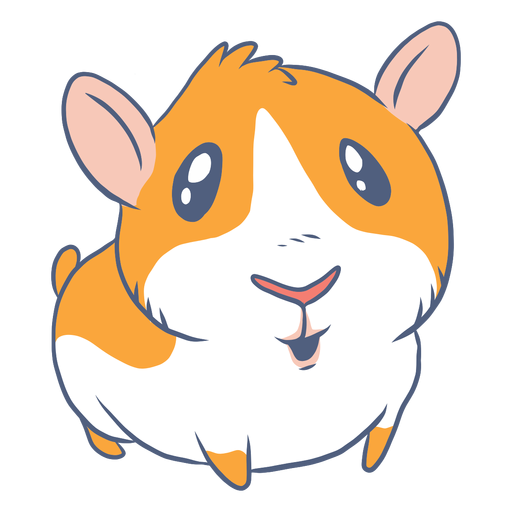 Guinea Pigs PNG Pic