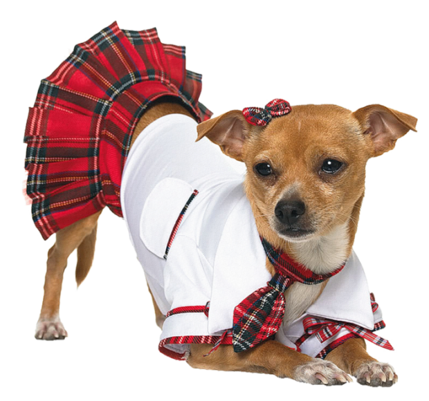 Halloween Costumes Dogs Download PNG Image