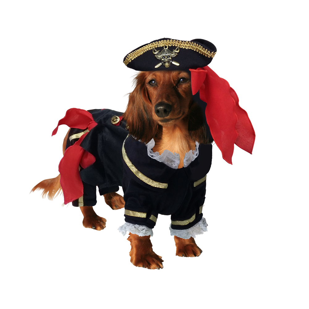 Halloween Costumes Dogs PNG Clipart