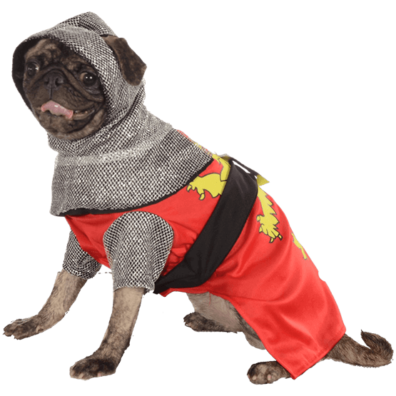 Halloween Costumes Dogs PNG File