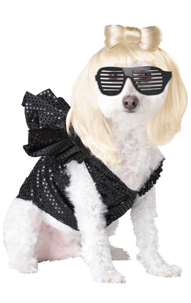 Halloween Costumes Dogs PNG Isolated Photo