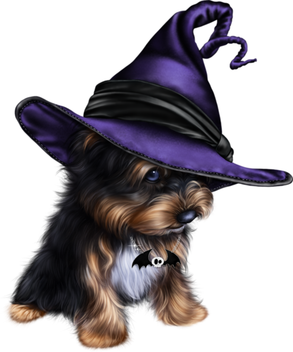 Halloween Costumes Dogs PNG Photo