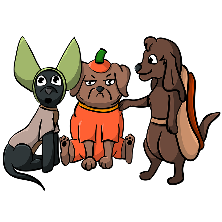 Halloween Costumes Dogs PNG Photos